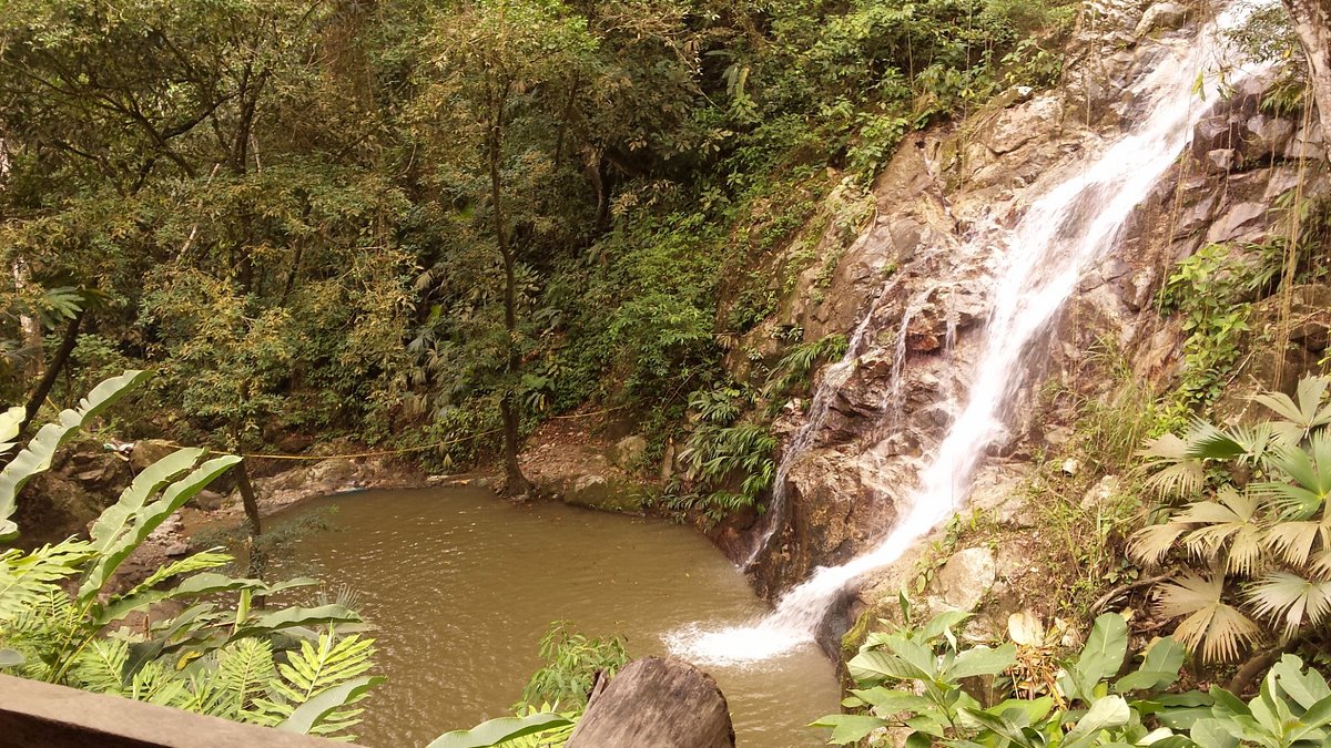 Tour to Minca + Marinka Waterfalls + Coffee Hacienda La Victoria
